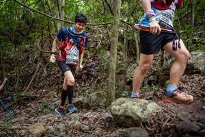 BIB: 
                            <button type="button" onclick="openModal(19381854)" class="btn btn-primary btn-sm float-right btn-popup" data-toggle="modal" data-target=".modal-high-quality">
                        <i class="fas fa-shopping-cart"></i> Add to Cart
                    </button>
                                            <button type="button" onclick="isThisMe(19381854, true)" class="btn btn-success btn-sm float-right btn-popup btn-isme hidden" data-toggle="tooltip" data-placement="bottom" title="นี่คือรูปของคุณใช่ไหม คลิกที่นี่เพื่อเอาเข้าอัลบั้ม">
                        <i class="fas fa-plus"></i> Add to album
                    </button>
                    <button type="button" onclick="isThisMe(19381854, false)" class="btn btn-warning btn-sm float-right btn-popup btn-isnotme hidden">
                        <i class="fas fa-ban"></i> Remove from album
                    </button>